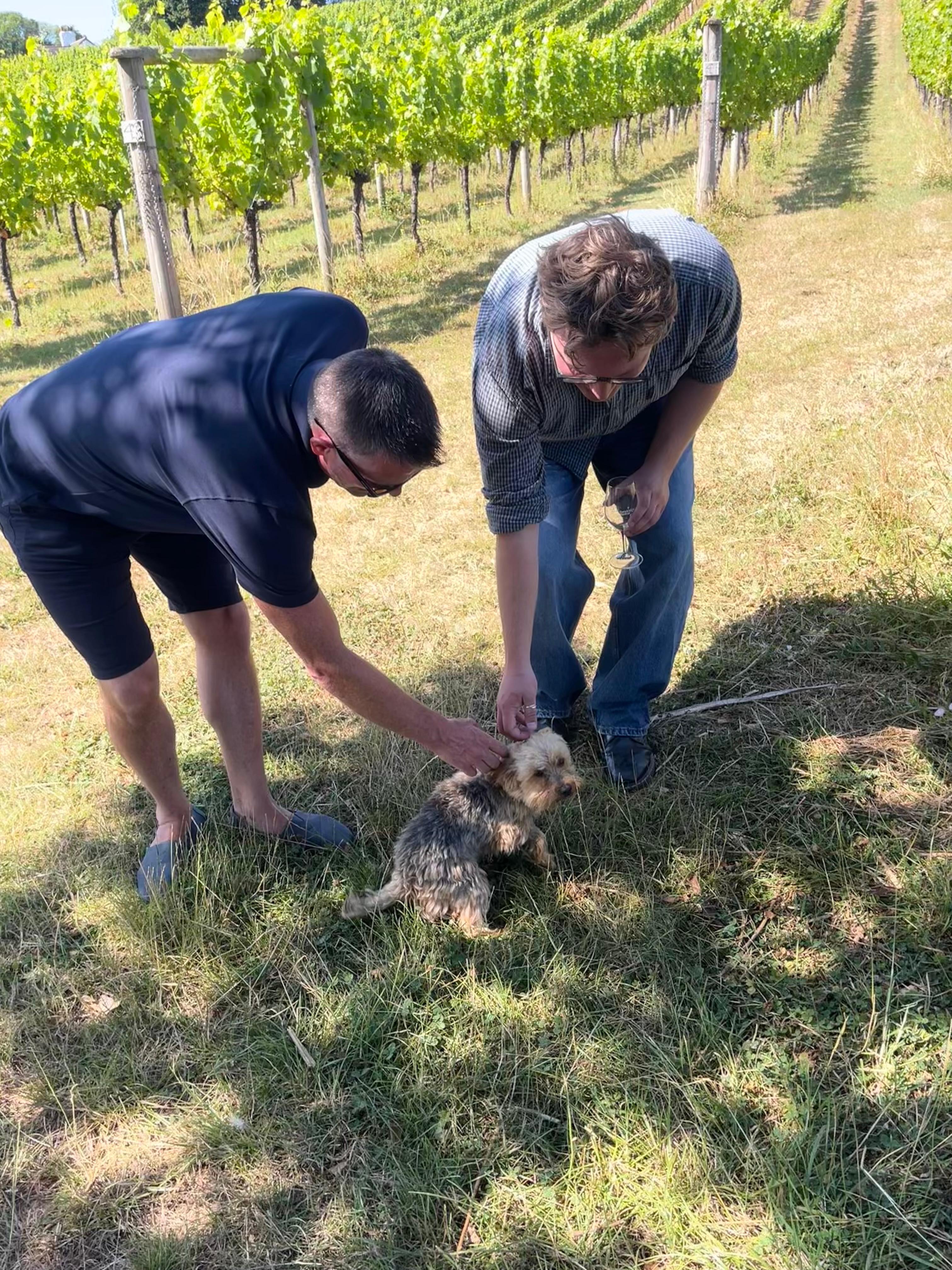 The Vineyard Dog, Sparky