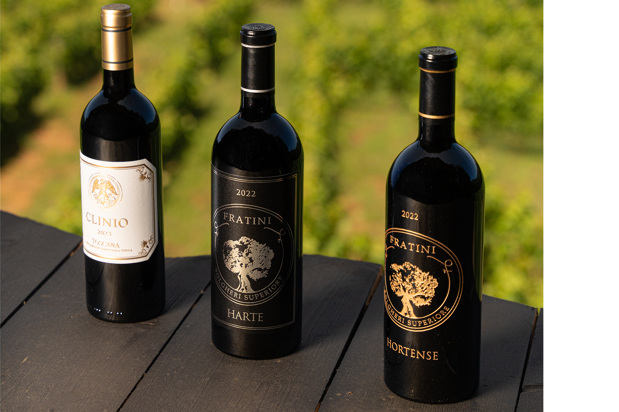 Tenuta Fratini wines