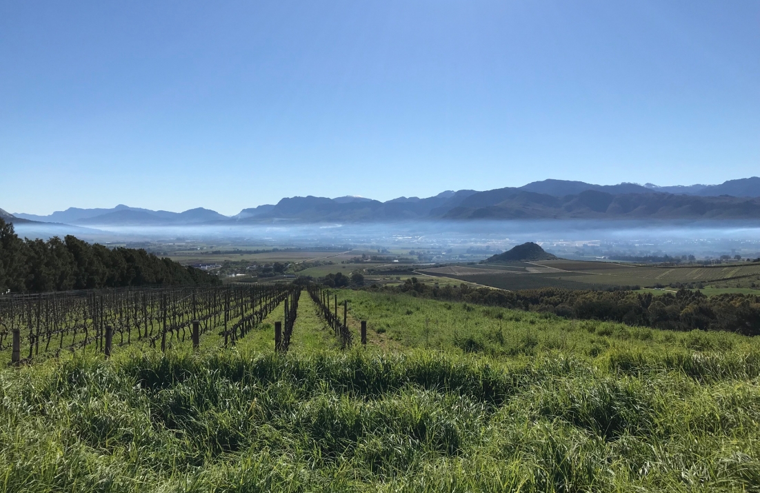 Paarl Valley
