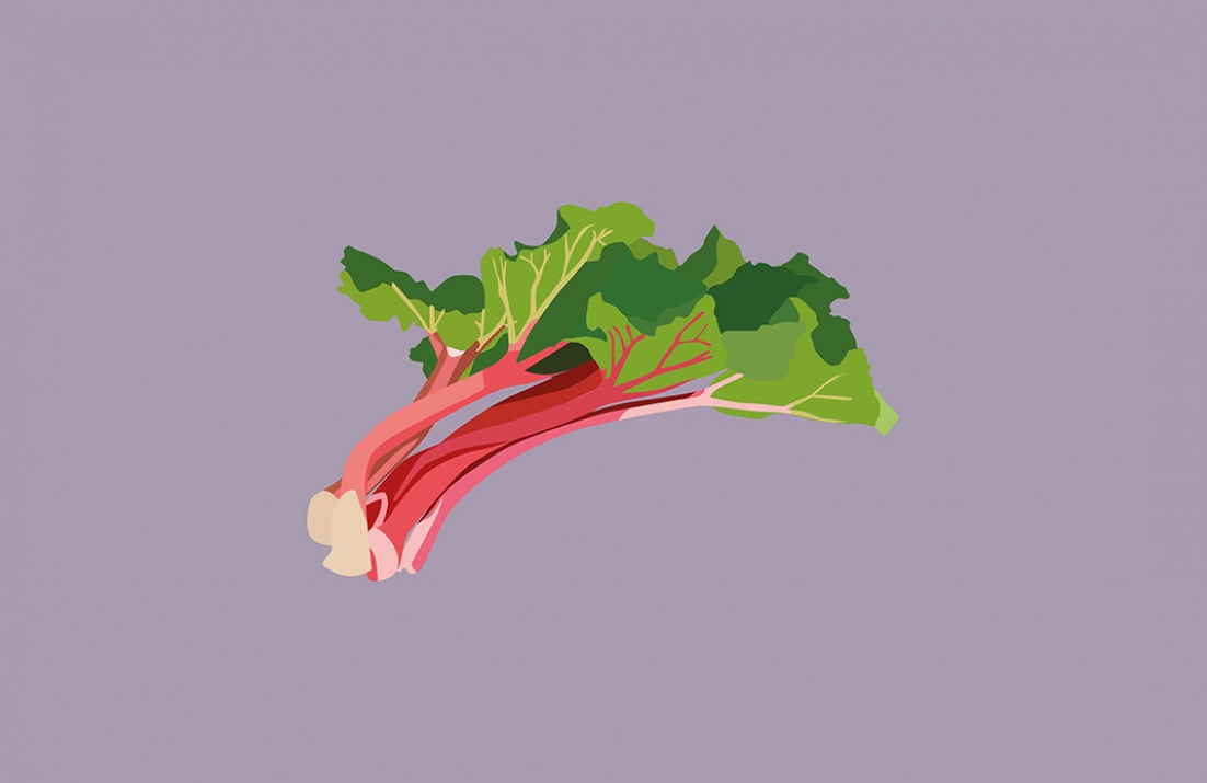 Rhubarb