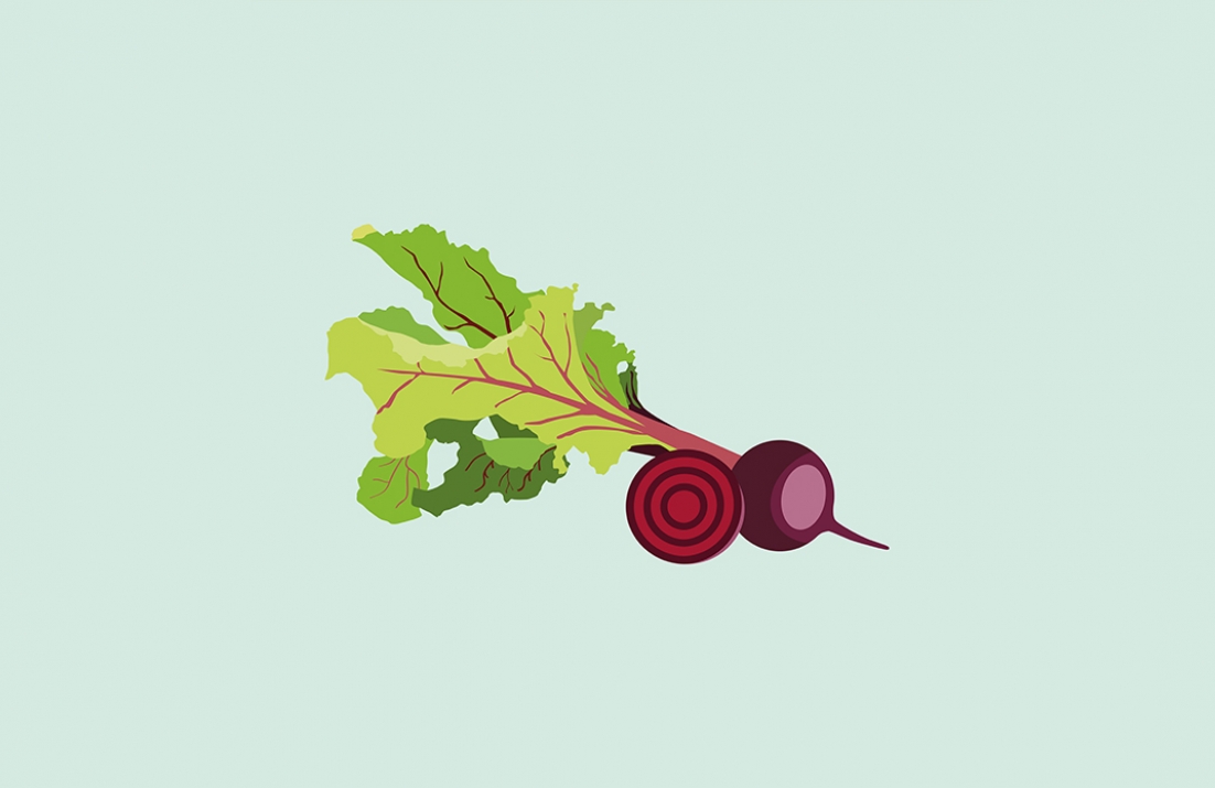 Beetroot Illustration