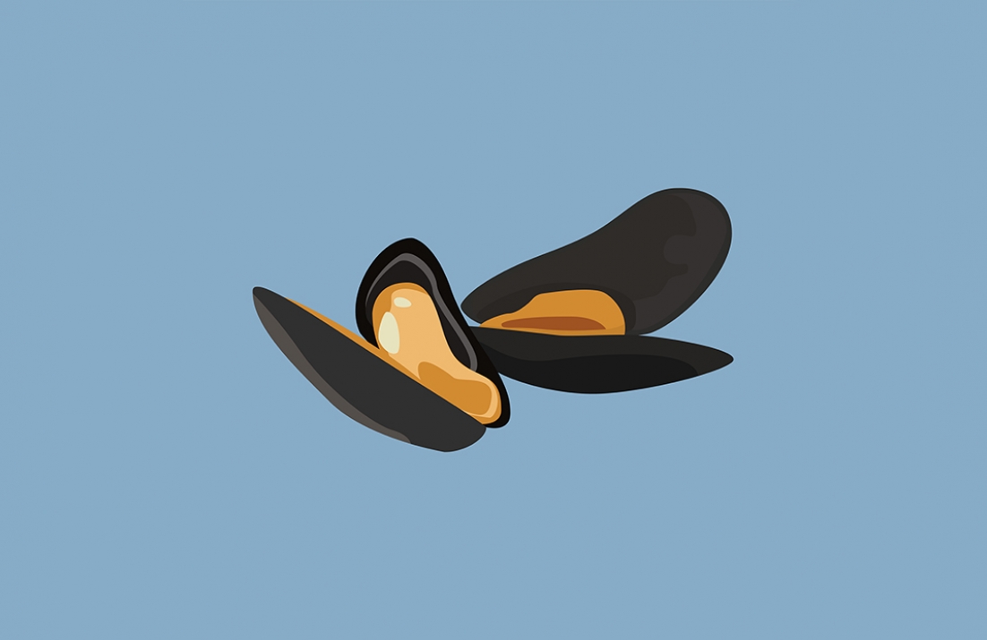 Mussels