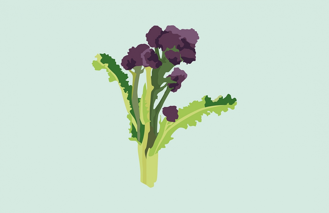 Purple Sprouting Broccoli