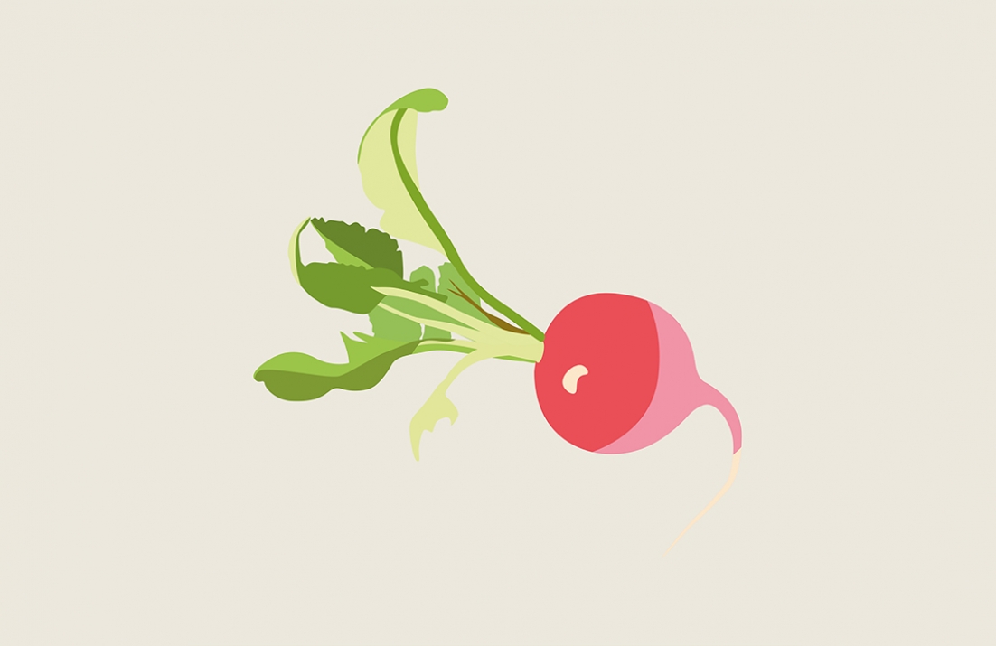 Radish