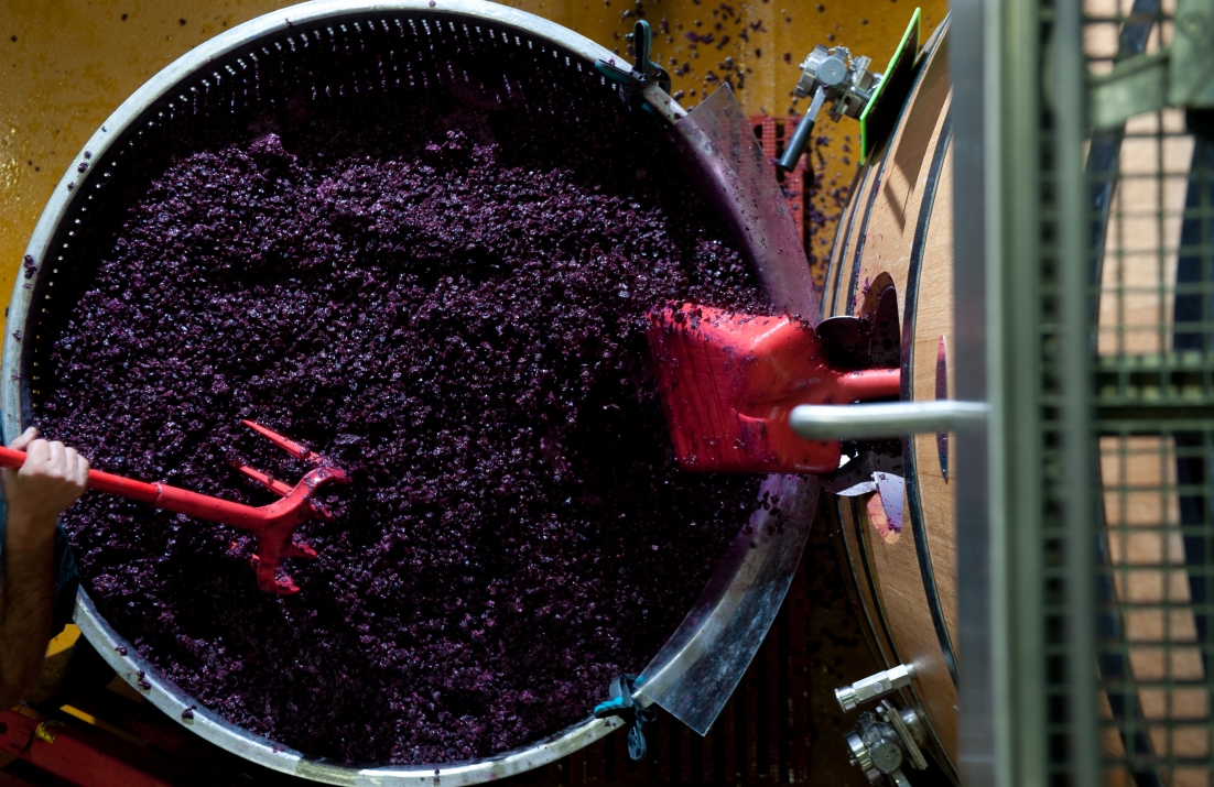 wine making