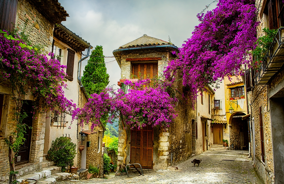 Provence