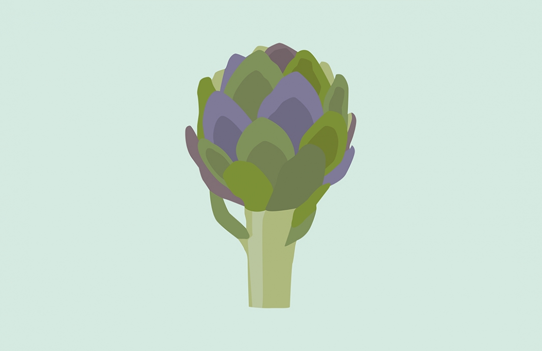 Globe Artichoke