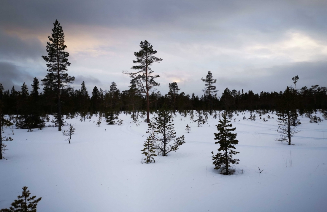 Snowy Sweden