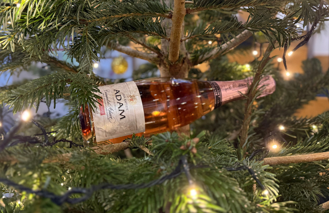 Bottle of pink sparkling wine in Christmas tree