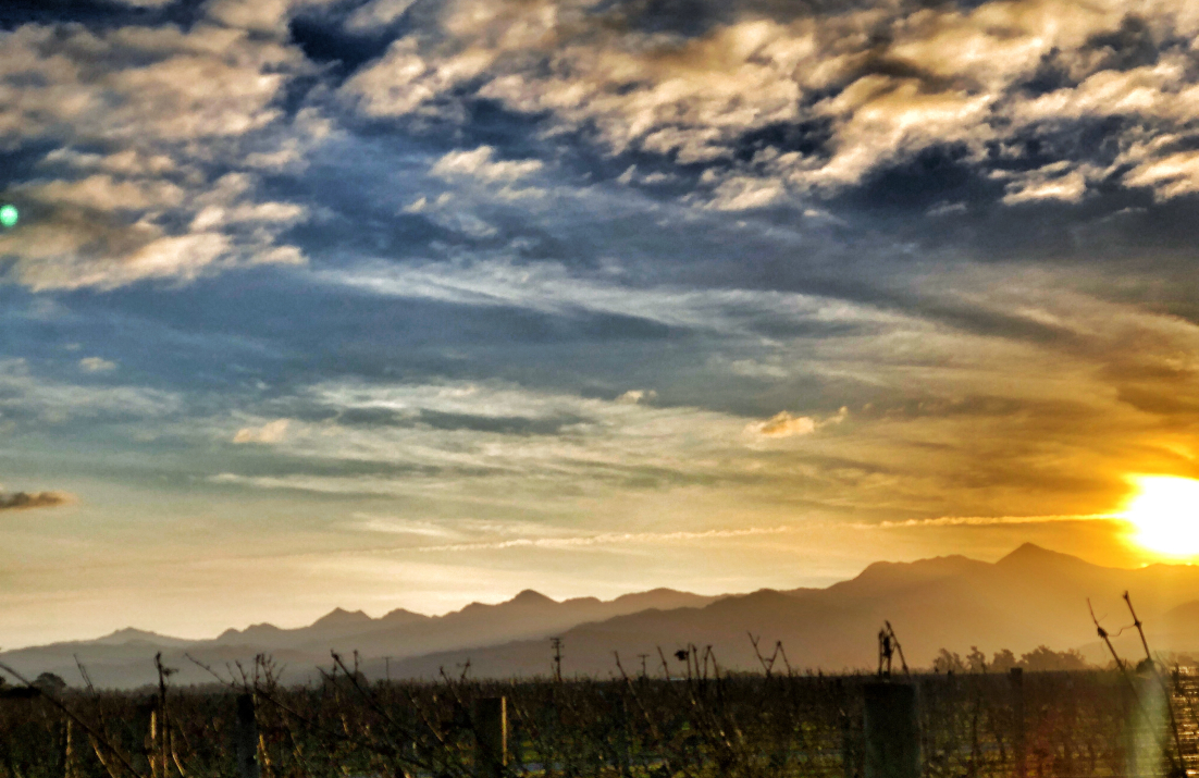 The Darling Wines Sunset