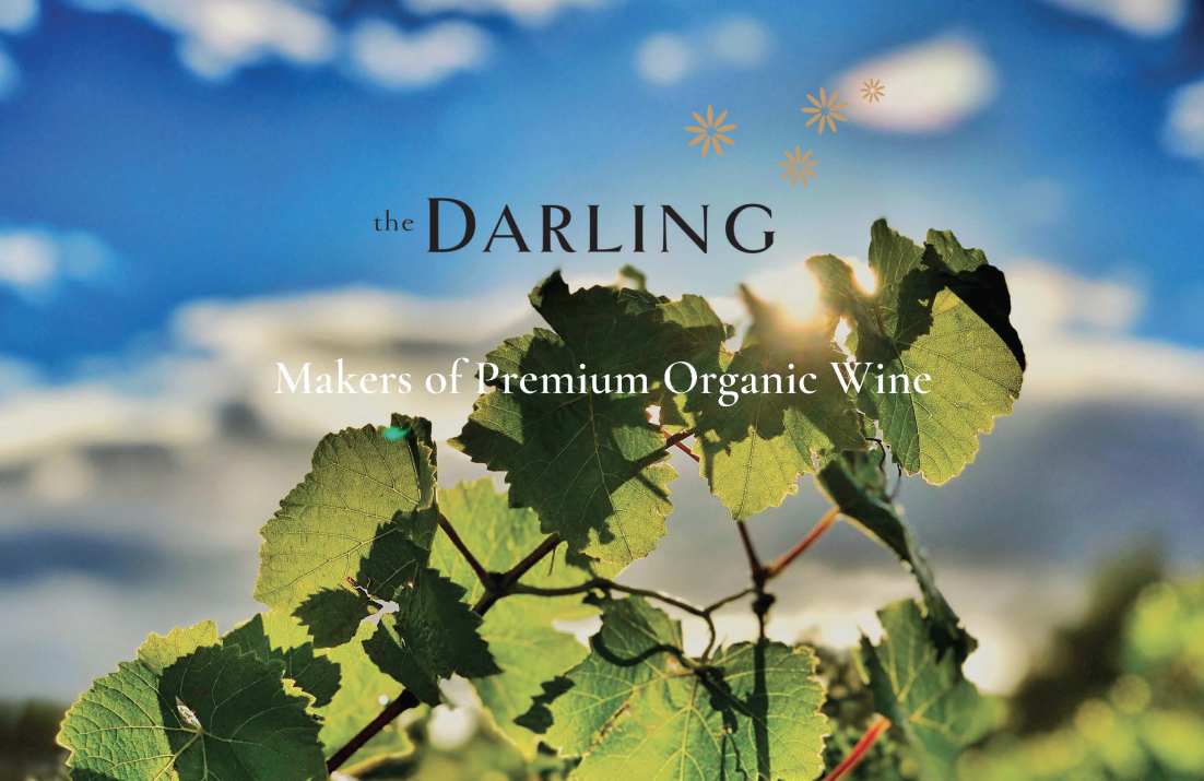 The Darling Wines Hero Banner