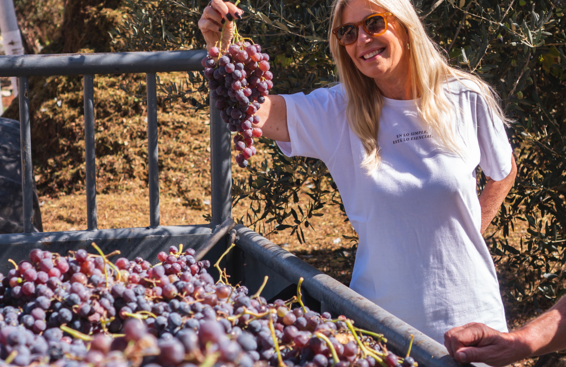 Vina Alta