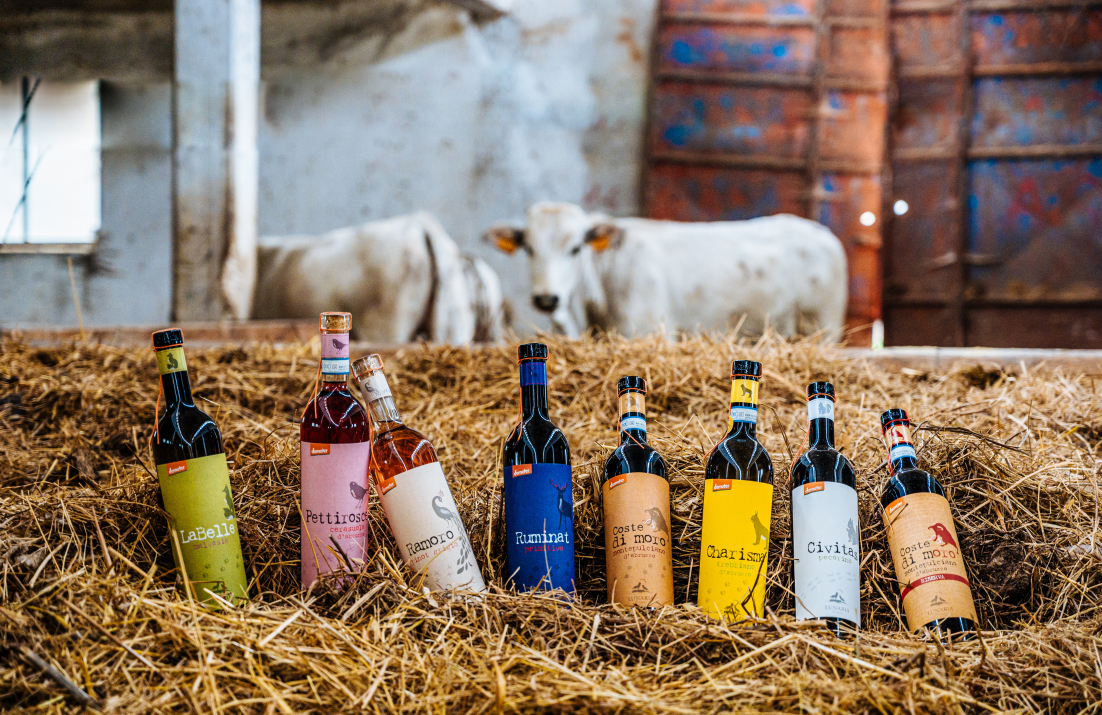 Lunaria Range of Wines