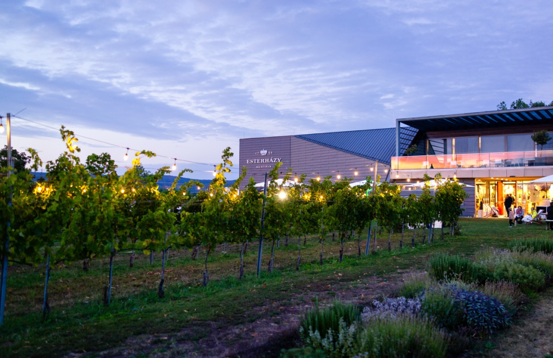 Esterhazy Winery and Vineyard
