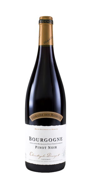 Bourgogne Pinot Noir Domaine de Moirots 2023 | Ellis Wines