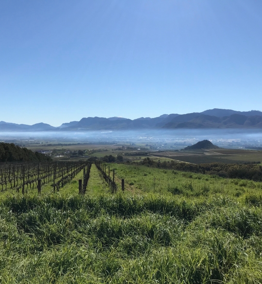 Paarl Valley