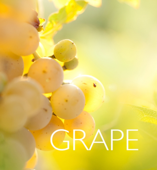 Grape