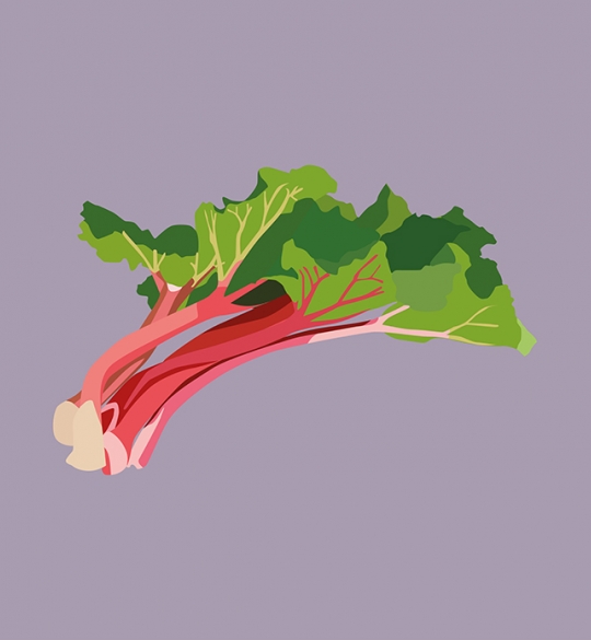 Rhubarb