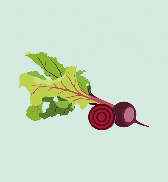 Beetroot Illustration