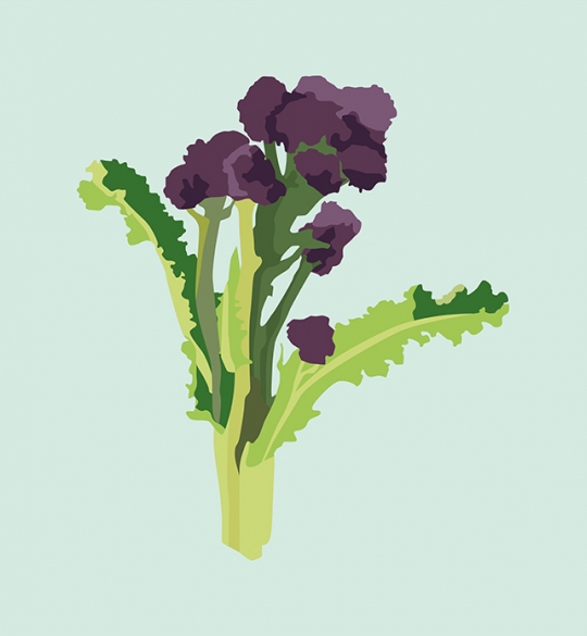 Purple Sprouting Broccoli