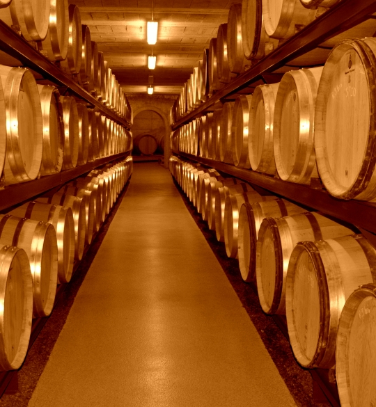 Domaine des Remizières