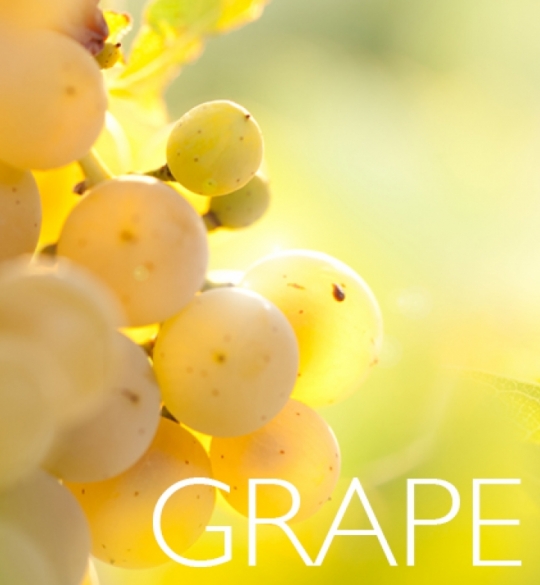 Grape