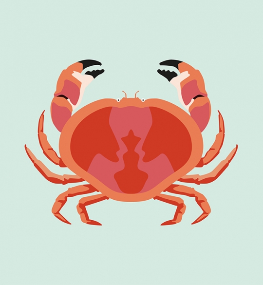 Crab