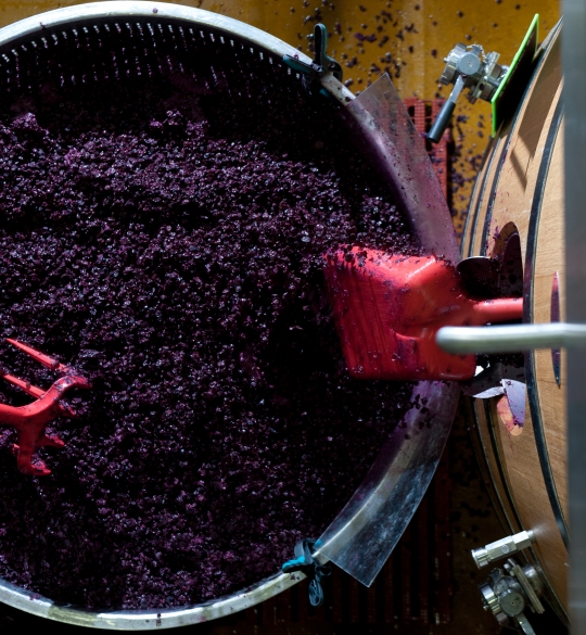 wine making