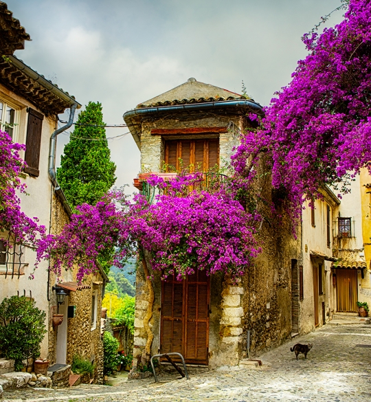 Provence