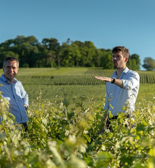Laurent Vaillan & Thomas Lombard
