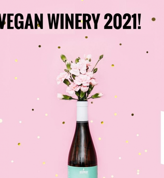 Best Vegan Winery