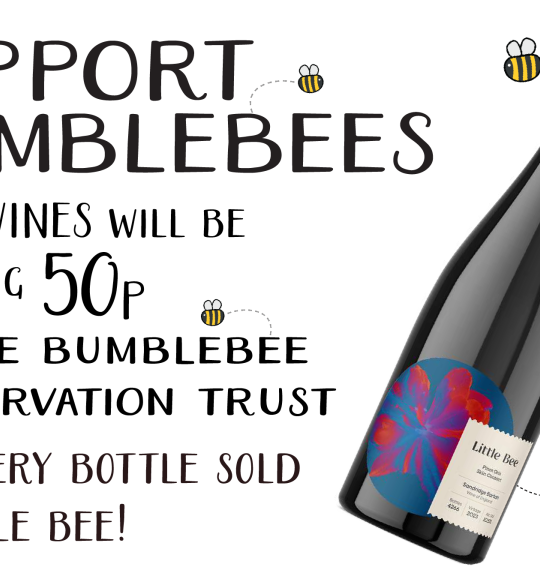 Bottle of Little Bee with bumblebee illustrations