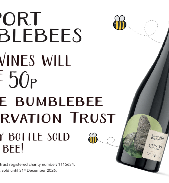 Bottle of Little Bee with bumblebee illustrations