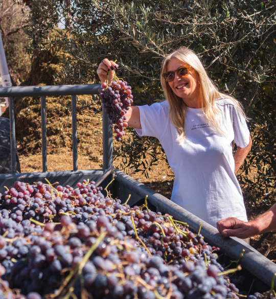 Vina Alta