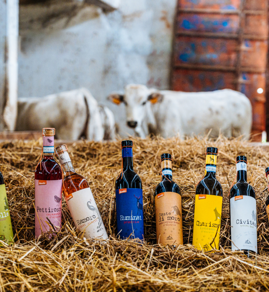 Lunaria Range of Wines